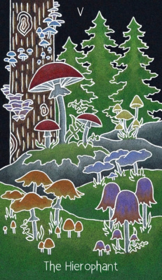 картинка Карты Таро "the Animystic Tarot Cards" Schiffer Publishing / Карты Таро «Анимастик» от магазина Gamesdealer.ru