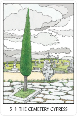 картинка Карты Таро "Oracle of the Tress" US Games / Оракул Деревьев от магазина Gamesdealer.ru