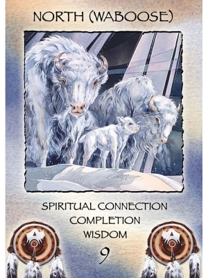 картинка Карты Таро "Spirit of the Wheel Deck" US Games / Дух Колеса от магазина Gamesdealer.ru