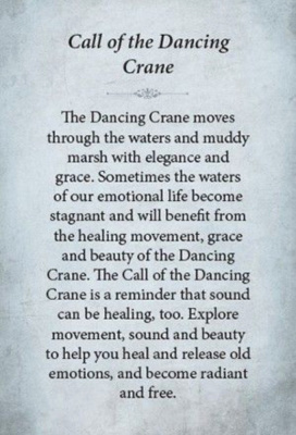 картинка Карты Таро "Kuan Yin Oracle" Blue Angel / Оракул Куан Инь от магазина Gamesdealer.ru