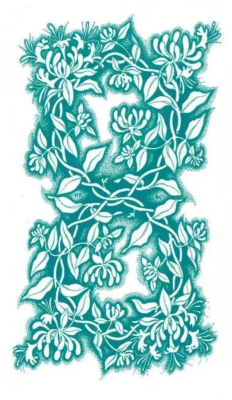 картинка Карты Таро "Old Path Tarot" AGM Urania / Таро Старого Пути от магазина Gamesdealer.ru