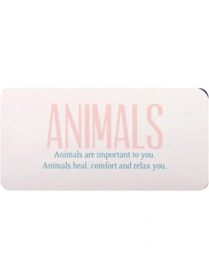 картинка Карты Таро "Divine Directions" US Games / Божественные Наставления от магазина Gamesdealer.ru