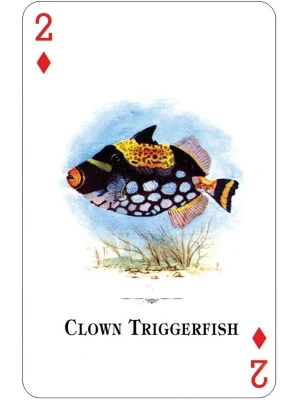 картинка Карты "Aquarium of the Natural World Playing Cards" от магазина Gamesdealer.ru