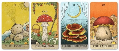 картинка Карты Таро "Mushroom Hunters Tarot" 12х7 Reprint / Таро Охотники За Грибами Карты TAROMANIA от магазина Gamesdealer.ru