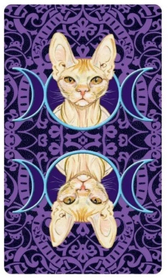 картинка Карты Таро "Pagan Cats Tarot mini" Reprint / Мини Колода Языческих Кошек TAROMANIA от магазина Gamesdealer.ru