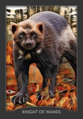 картинка Карты Таро "Guardian of the Night Tarot Cards" Hay House / Карты Таро Страж Ночи от магазина Gamesdealer.ru