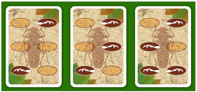 картинка Гонки жуков от магазина Gamesdealer.ru