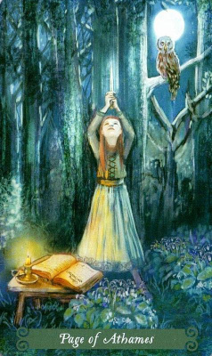 картинка Карты Таро "Green Witch Tarot" Llewellyn / Набор Таро Зелёной Ведьмы от магазина Gamesdealer.ru