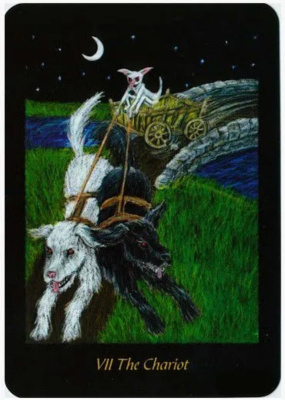 картинка Карты таро "Twilight Realm a Tarot of Faery" Schiffer Publishing / Сумеречное царство Фей от магазина Gamesdealer.ru