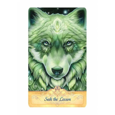 картинка Карты Таро "Messenger Oracle - Anniversary Edition" Blue Angel / Оракул Посланий - Второе Издание от магазина Gamesdealer.ru