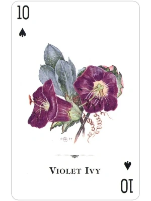 картинка Карты "Wildflowers of the Natural World Playing Cards" магазин Gamesdealer.ru являющийся официальным дистрибьютором в России  картинка Карты "Wildflowers of the Natural World Playing Cards" от магазина Gamesdealer.ru