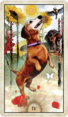 картинка Карты Таро "Wise Dog Tarot" US Games / Таро Мудрой Собаки от магазина Gamesdealer.ru