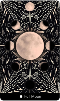 картинка Карты Таро "Eight Coins Astrology Oracle" US Games / Восемь монет Астрологического оракула от магазина Gamesdealer.ru