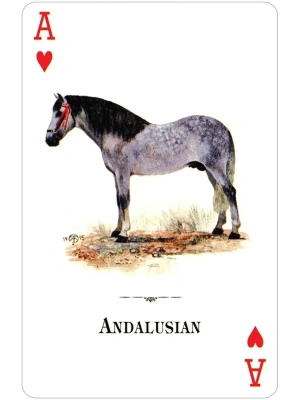 картинка Карты "Horses of the Natural World Playing Cards" от магазина Gamesdealer.ru