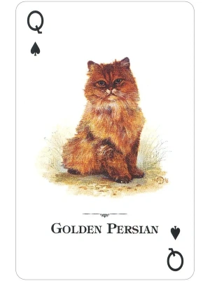 картинка Карты "Cats of the Natural World Playing Cards" от магазина Gamesdealer.ru