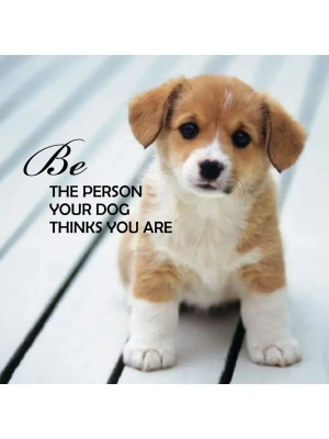 картинка Карты Таро "Pup Notes - 60 Notes of Dog Love and Joy" US Games / Записки щенка - 60 карт Собачьей Лю от магазина Gamesdealer.ru