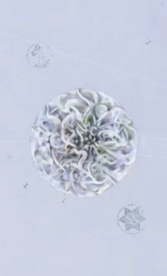 картинка Карты Таро "The Archeo" Llewellyn / Таро Оракул Архео от магазина Gamesdealer.ru