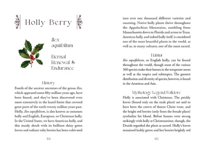 картинка Карты Таро "The Flowerwise Oracle Cards" Schiffer Publishing / Карты Цветочного оракула магазин Gamesdealer.ru являющийся официальным дистрибьютором в России  картинка Карты Таро "The Flowerwise Oracle Cards" Schiffer Publishing / Карты Цветочного оракула от магазина Gamesdealer.ru