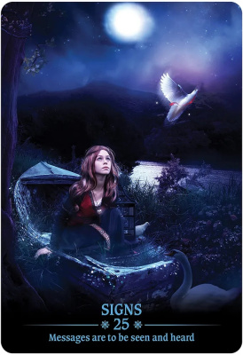 картинка Карты Таро "Dark Light Oracle Cards" US Games / Оракул Темного Света от магазина Gamesdealer.ru