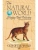 картинка Карты "Cats of the Natural World Playing Cards" от магазина Gamesdealer.ru
