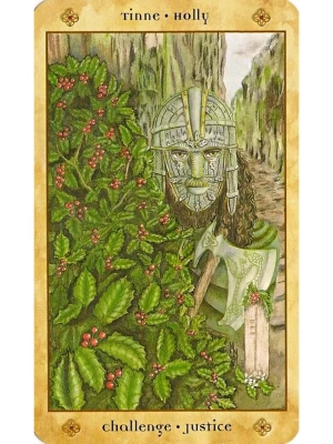 картинка Карты Таро "Voice of the Trees" Llewellyn / Оракул Голос Деревьев от магазина Gamesdealer.ru