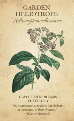 картинка Карты Таро "Botanical Inspirations Deck/Book Set" US Games / Ботанические Вдохновения от магазина Gamesdealer.ru