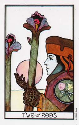 картинка Карты Таро "Aquarian Tarot In a Tin" US Games / US Games от магазина Gamesdealer.ru